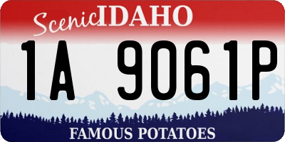 ID license plate 1A9061P