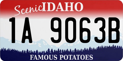 ID license plate 1A9063B