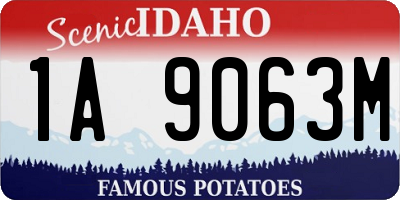 ID license plate 1A9063M