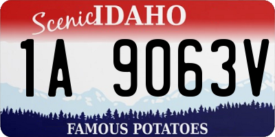 ID license plate 1A9063V