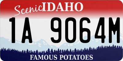 ID license plate 1A9064M