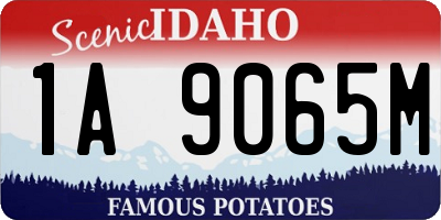 ID license plate 1A9065M