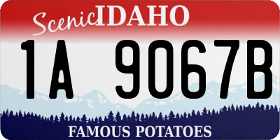 ID license plate 1A9067B