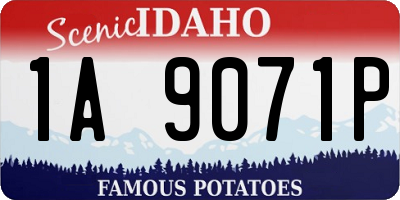 ID license plate 1A9071P