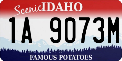 ID license plate 1A9073M