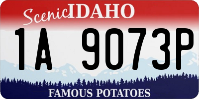 ID license plate 1A9073P