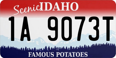 ID license plate 1A9073T