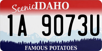ID license plate 1A9073U