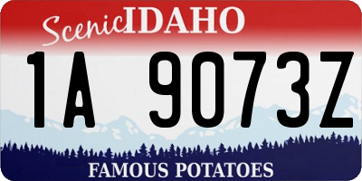 ID license plate 1A9073Z