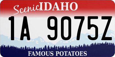 ID license plate 1A9075Z