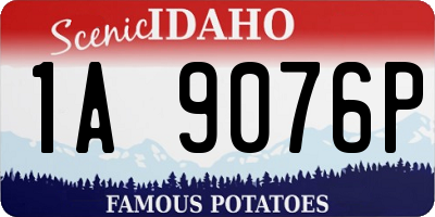 ID license plate 1A9076P