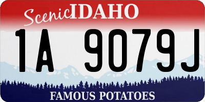 ID license plate 1A9079J