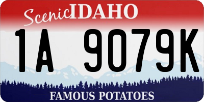 ID license plate 1A9079K