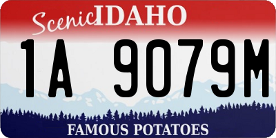 ID license plate 1A9079M