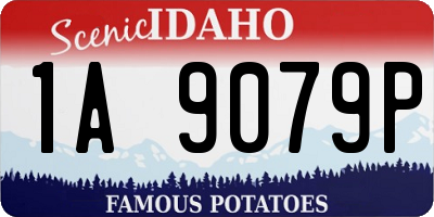 ID license plate 1A9079P