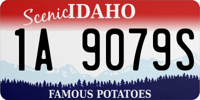 ID license plate 1A9079S