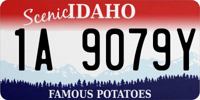 ID license plate 1A9079Y