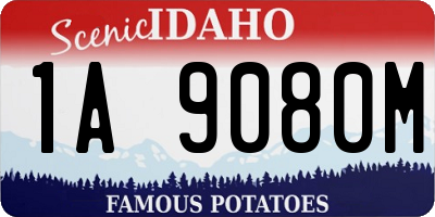 ID license plate 1A9080M