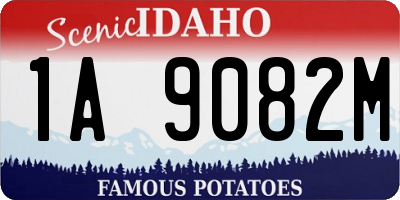 ID license plate 1A9082M