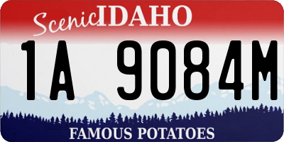 ID license plate 1A9084M