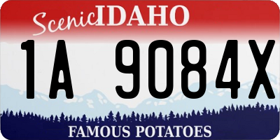 ID license plate 1A9084X