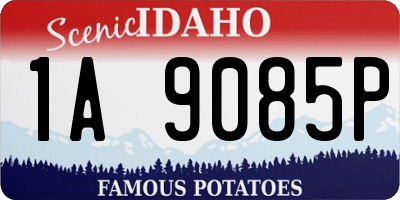 ID license plate 1A9085P