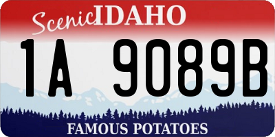 ID license plate 1A9089B