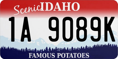 ID license plate 1A9089K