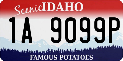ID license plate 1A9099P