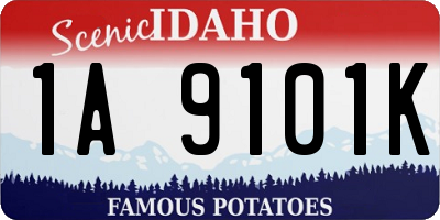 ID license plate 1A9101K