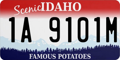 ID license plate 1A9101M