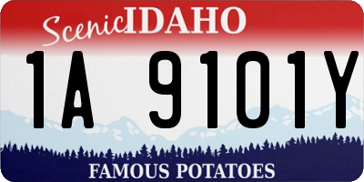 ID license plate 1A9101Y