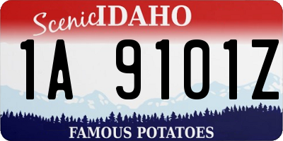ID license plate 1A9101Z