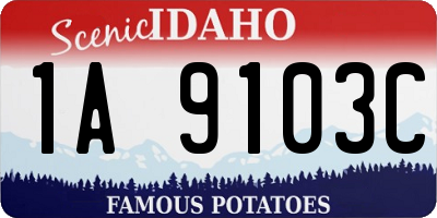 ID license plate 1A9103C