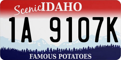 ID license plate 1A9107K