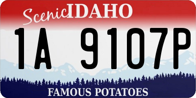 ID license plate 1A9107P
