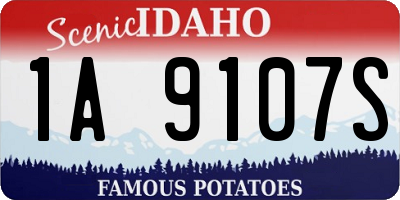 ID license plate 1A9107S