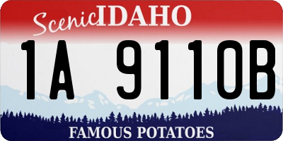 ID license plate 1A9110B