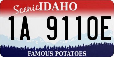 ID license plate 1A9110E