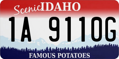 ID license plate 1A9110G