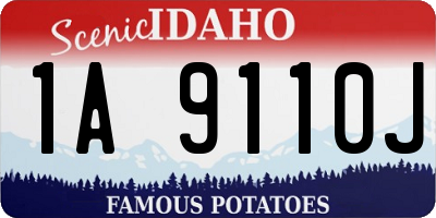 ID license plate 1A9110J