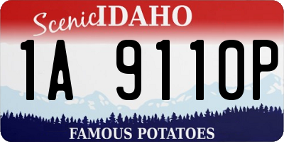 ID license plate 1A9110P