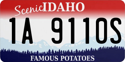 ID license plate 1A9110S