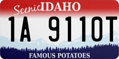 ID license plate 1A9110T