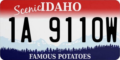 ID license plate 1A9110W
