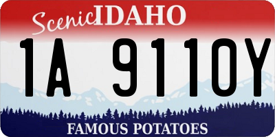 ID license plate 1A9110Y