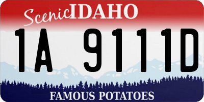 ID license plate 1A9111D