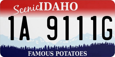ID license plate 1A9111G