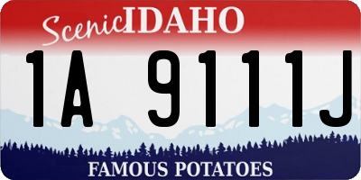 ID license plate 1A9111J