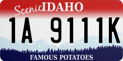 ID license plate 1A9111K